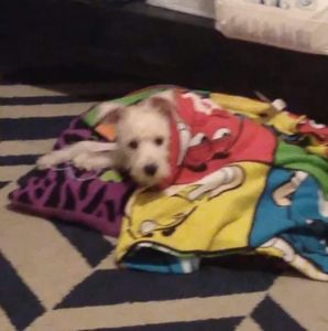 Meet your Posher, Sally